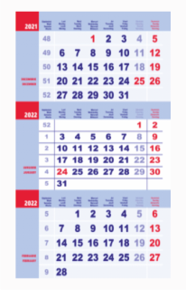 Calendar Triptic de perete 12 file